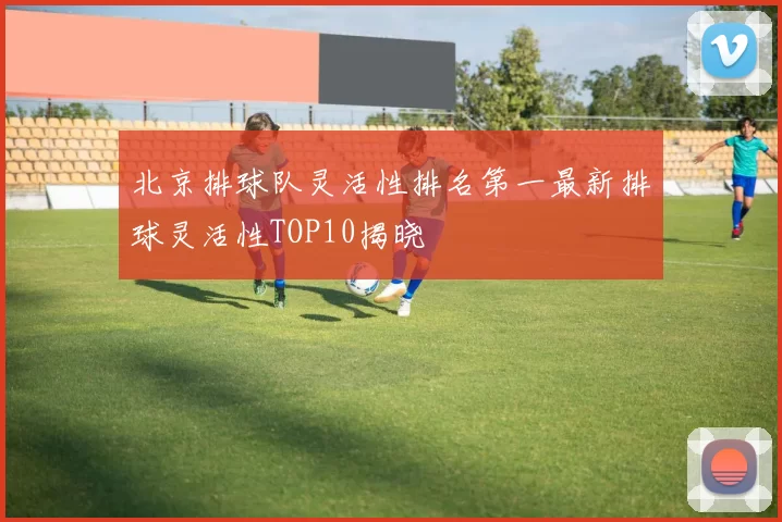 北京排球队灵活性排名第一最新排球灵活性TOP10揭晓