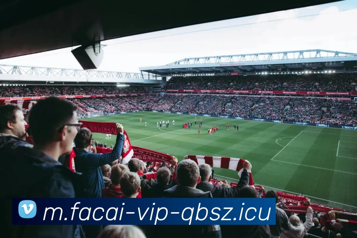 九游体育服务体系